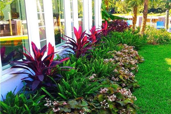 WhatsApp Image 2023-12-21 at 11.45.53 AM